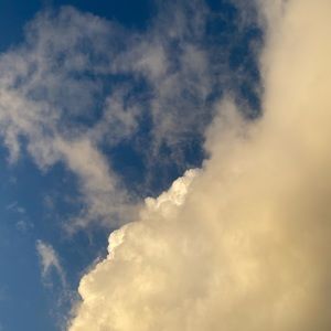 Meet your Posher, Lily